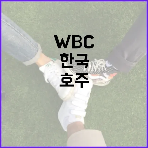 WBC 8강 진출을 위한 한국과 호주의 벼랑 끝 대결 전략 - 요약