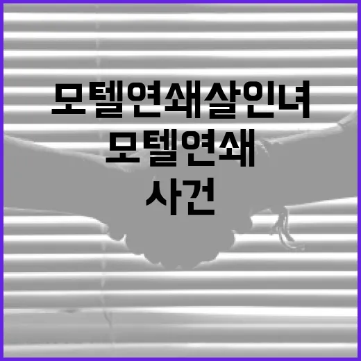 모텔 연쇄살인녀 사건을 이해하는 방법 - 요약