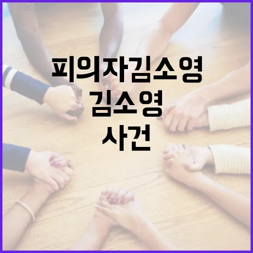 피의자 김소영 사건 이해하기: 중요한 사실과 법적 절차 - 요약
