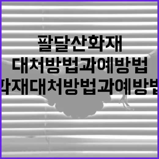 팔달산 화재 대처 방법과 예방법 - 요약