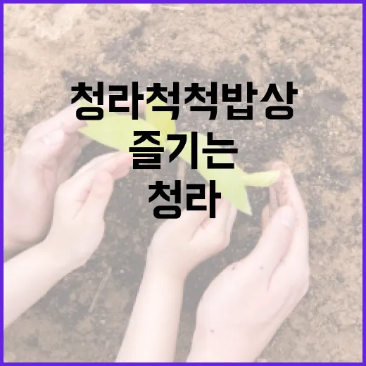 청라 척척밥상을 즐기는 방법 - 요약