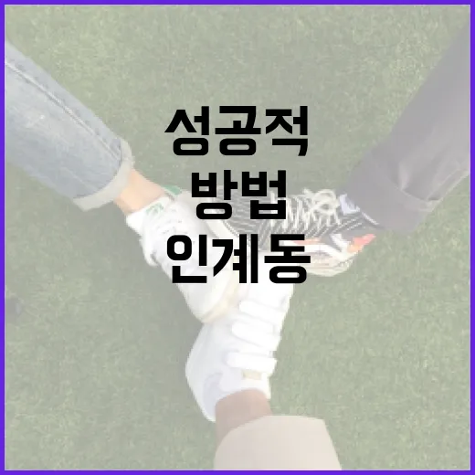 인계동 집단 생활을 성공적으로 시작하는 방법 - 요약