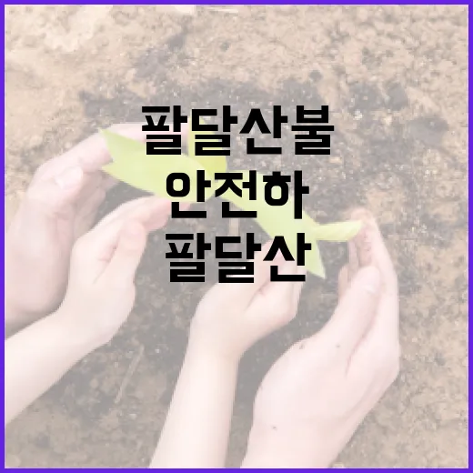 팔달산 불을 안전하게 감상하는 방법 - 요약