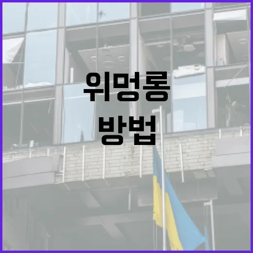 위멍롱을 이해하고 활용하는 방법 - 요약