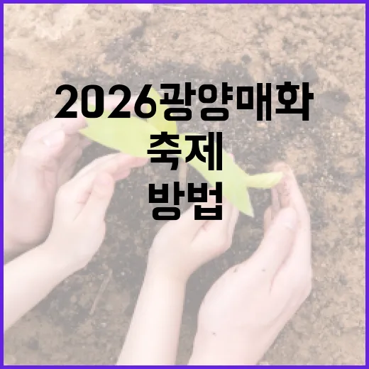 2026 광양 매화축제를 만끽하는 방법 - 요약
