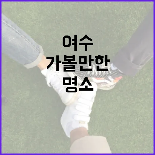 여수 해든이를 즐기는 방법: 가볼 만한 명소와 맛집 - 요약