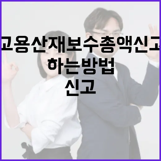 고용산재 보수총액신고를 쉽게 하는 방법 - 요약