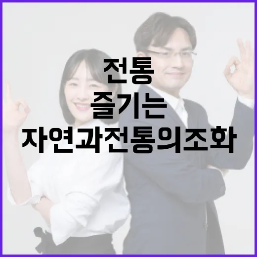 색동원을 즐기는 방법: 자연과 전통의 조화 - 요약