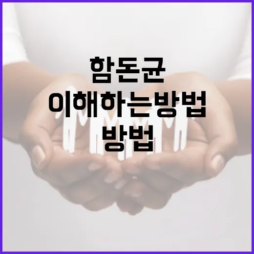 함돈균의 철학을 이해하는 방법 - 요약