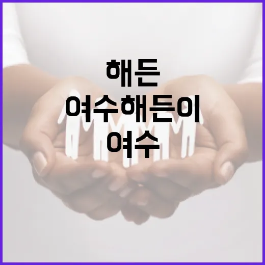 여수 해든이를 즐기는 방법: 완벽한 여행 가이드 - 요약