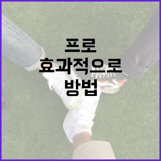 엘유프로를 효과적으로 사용하는 방법 - 요약