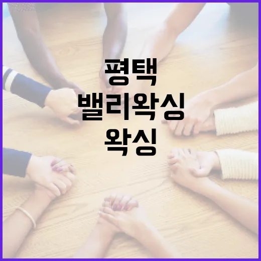 평택에서 밸리왁싱을 안전하고 편안하게 받는 방법 - 요약