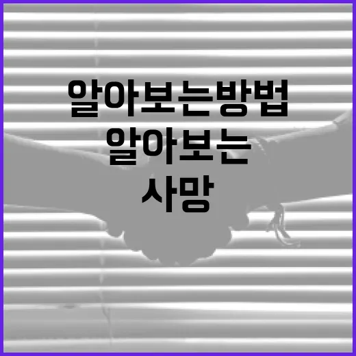 네타냐후 사망 소식에 대한 이해와 반응을 알아보는 방법 - 요약