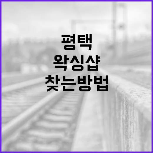 평택에서 최고의 왁싱샵을 찾는 방법 - 요약