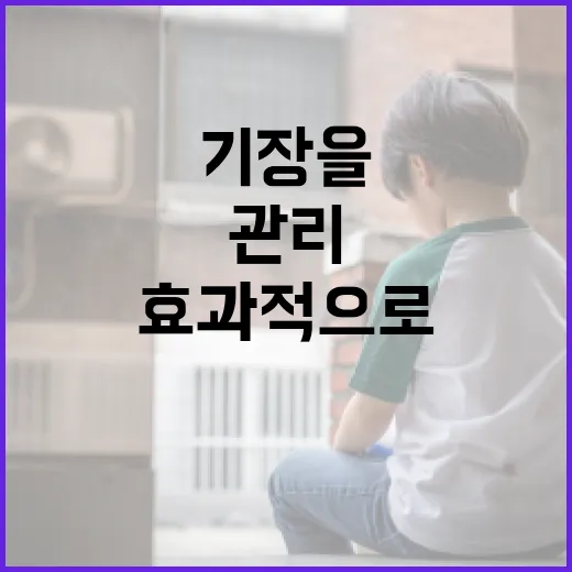 기장을 효과적으로 관리하는 방법 - 요약