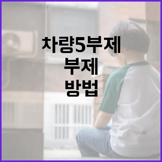 차량5부제를 효과적으로 활용하는 방법 - 요약