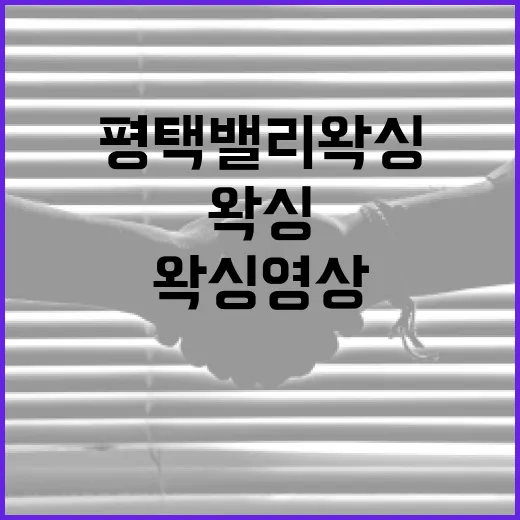 평택 밸리왁싱 영상을 통해 셀프 왁싱하는 방법 - 요약