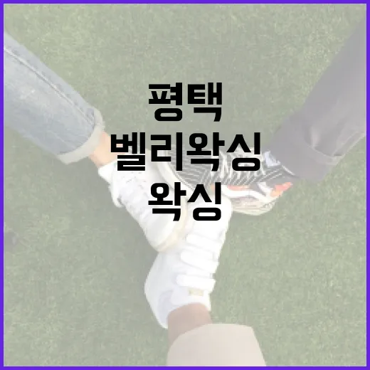 평택에서 벨리왁싱을 받는 방법과 주의사항 - 요약