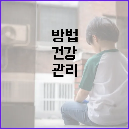 점천수로 건강과 행운을 관리하는 방법 - 요약