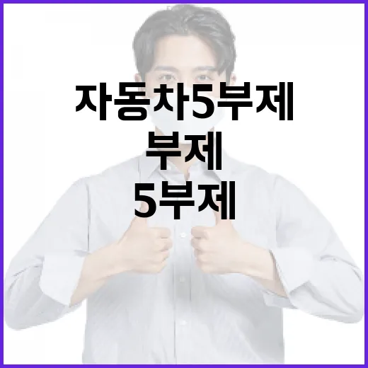 자동차 5부제를 효과적으로 활용하는 방법 - 요약