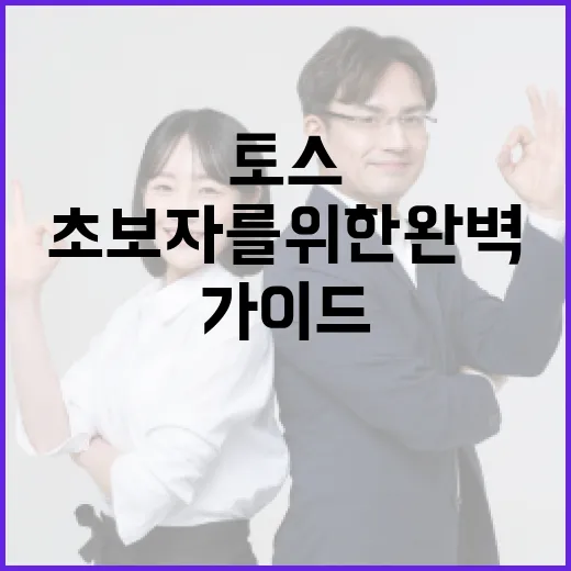 토스 한강물, 초보자를 위한 완벽 가이드 - 요약