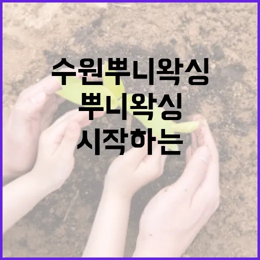 수원 뿌니 왁싱을 처음 시작하는 방법 - 요약