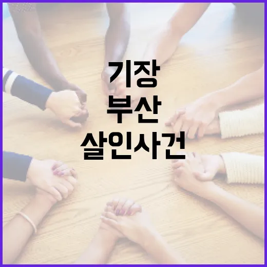 부산 기장 살인 사건을 이해하는 방법 - 요약