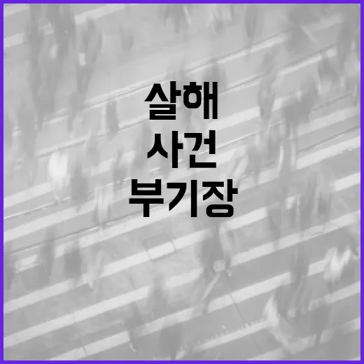 부기장 살해 사건을 이해하는 방법 - 요약