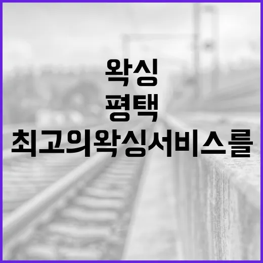 평택에서 최고의 왁싱 서비스를 받는 방법 - 요약