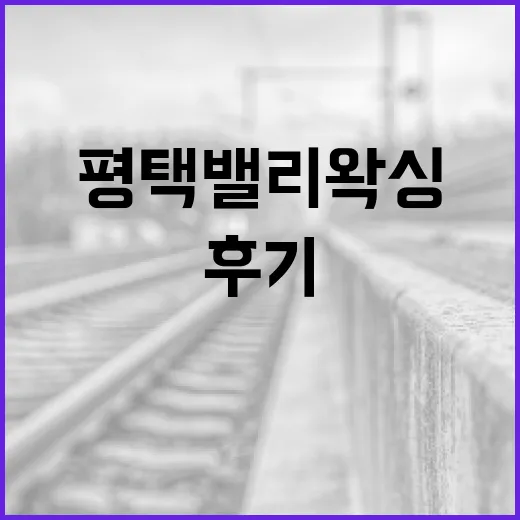 평택 밸리왁싱 후기: 경험과 팁을 공유합니다 - 요약
