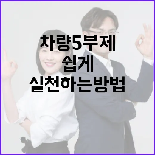 차량5부제를 쉽게 이해하고 실천하는 방법 - 요약