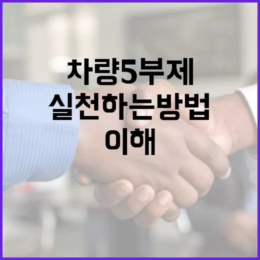 차량5부제를 이해하고 실천하는 방법 - 요약