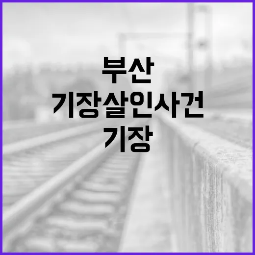 부산 기장 살인 사건에 대한 이해와 대처 방법 - 요약