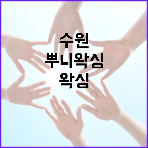 수원에서 뿌니왁싱을 처음 받으려면 이렇게 준비하세요 - 요약