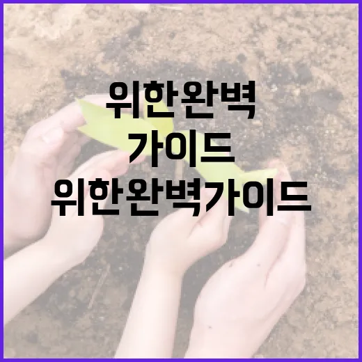 문형주를 선택하고 사용하기 위한 완벽 가이드 - 요약