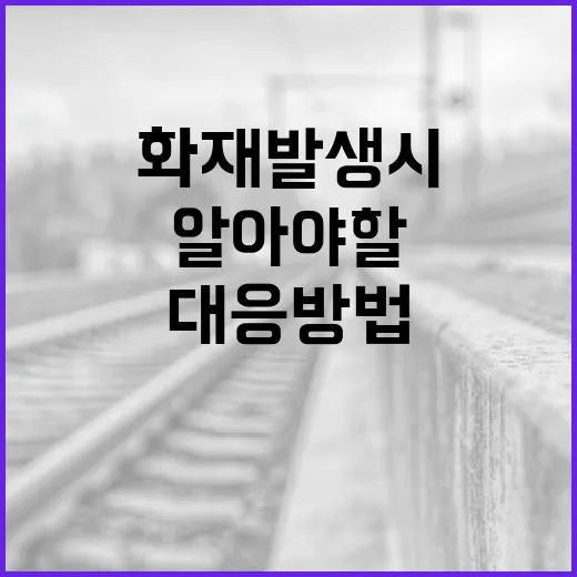 대전 화재 발생 시 알아야 할 대응 방법 - 요약