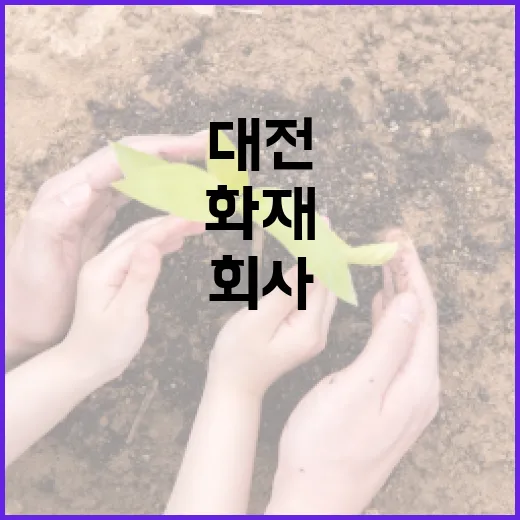 대전 화재 시 알아야 할 안전 수칙과 회사 선택 방법 - 요약