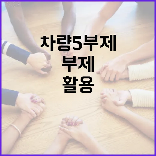 차량 5부제를 효과적으로 활용하는 방법 - 요약