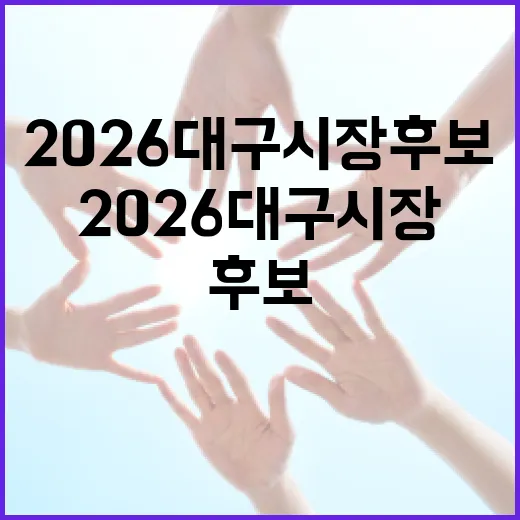 2026 대구시장 후보를 선택하는 방법 - 요약