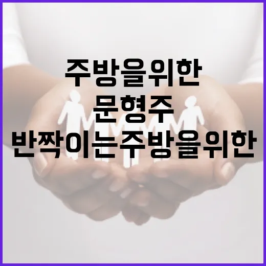 문형주를 관리하는 방법: 깨끗하고 반짝이는 주방을 위한 팁 - 요약