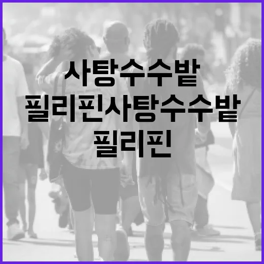 필리핀 사탕수수밭을 탐험하는 방법 - 요약
