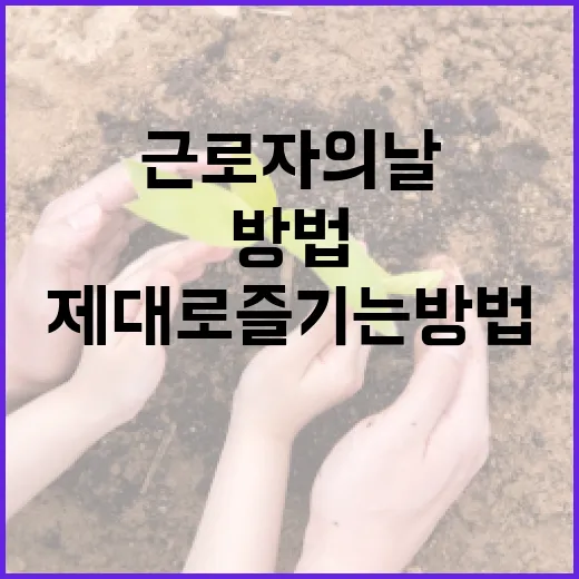 근로자의 날을 제대로 즐기는 방법 - 요약