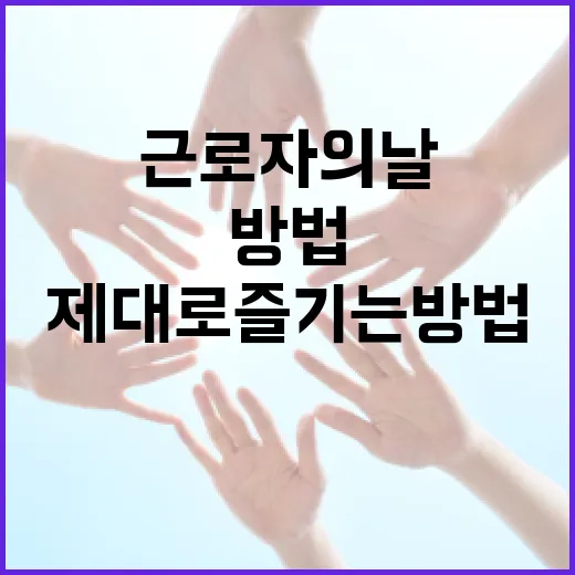 근로자의 날을 제대로 즐기는 방법 - 요약