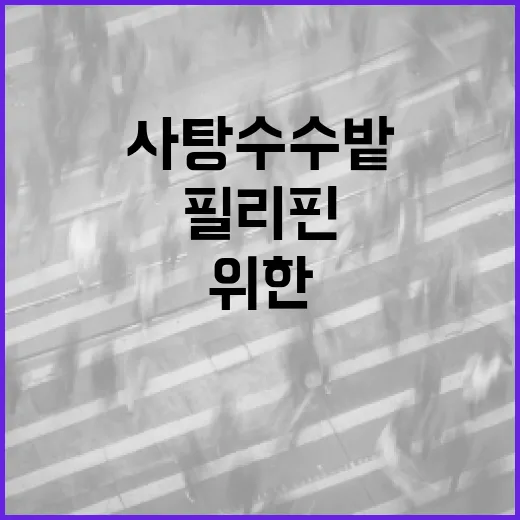 필리핀 사탕수수밭 탐험을 위한 완벽한 가이드 - 요약