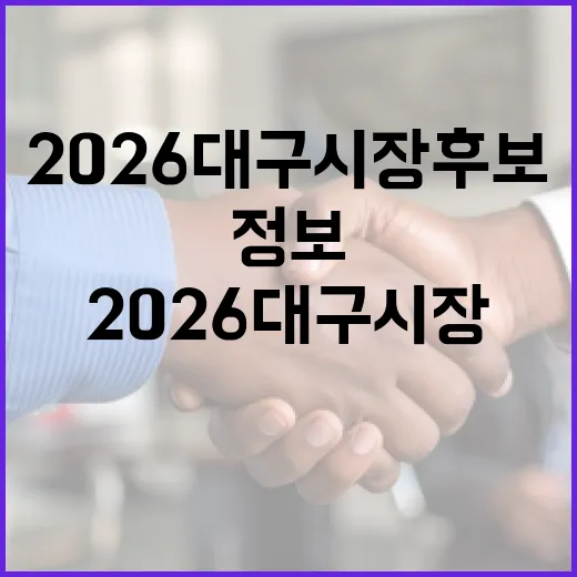 2026 대구시장 후보를 위한 정보를 알아보는 방법 - 요약