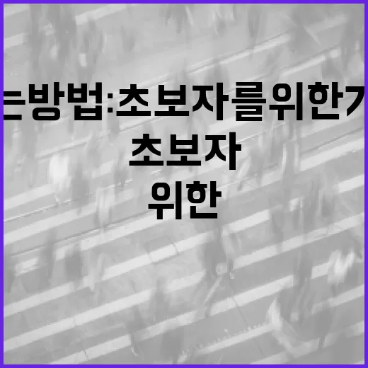 라슬기를 즐기는 방법: 초보자를 위한 가이드 - 요약
