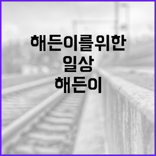 해든이를 위한 즐거운 일상 만들기 방법 - 요약