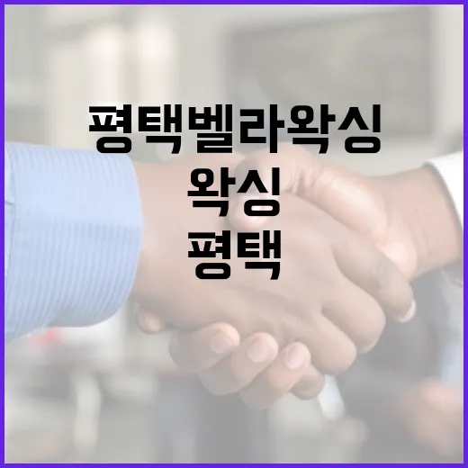 평택 벨라왁싱을 방문해야 하는 이유와 준비 방법 - 요약