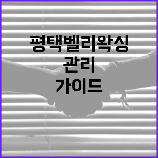평택 벨리왁싱을 위한 가이드: 준비부터 사후 관리까지 - 요약