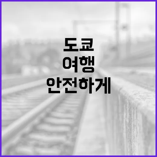 도쿄에서 안전하게 여행하는 방법 - 요약